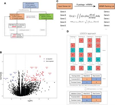 RNA Sequencing of Tumor-Educated Platelets Reveals a Three-Gene Diagnostic Signature in Esophageal Squamous Cell Carcinoma